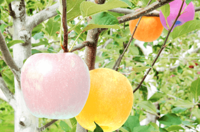 annotation_service_19